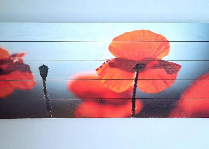 Niederrheinhaus Villa *